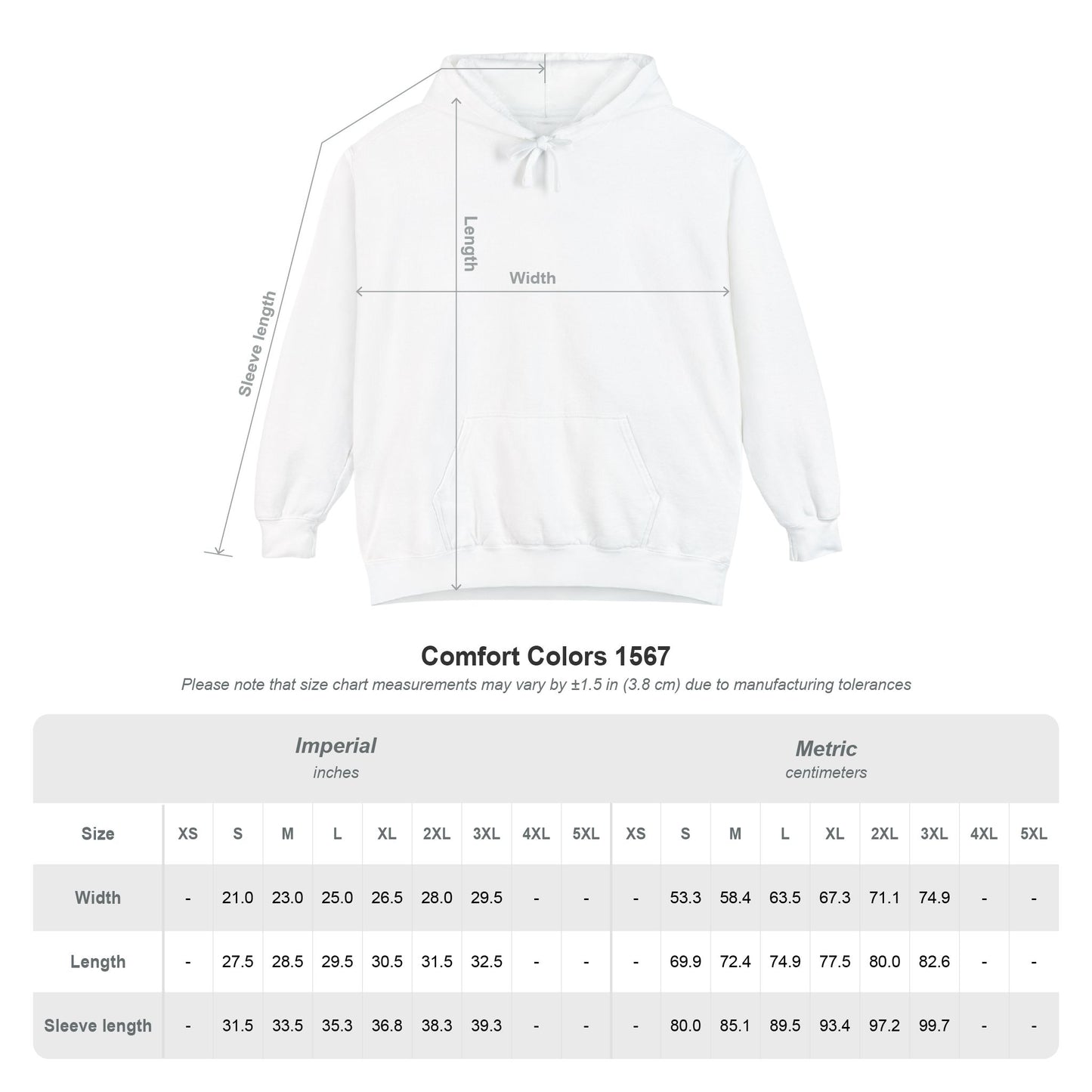Jesus Is King Hoodie — Revelation 19:16