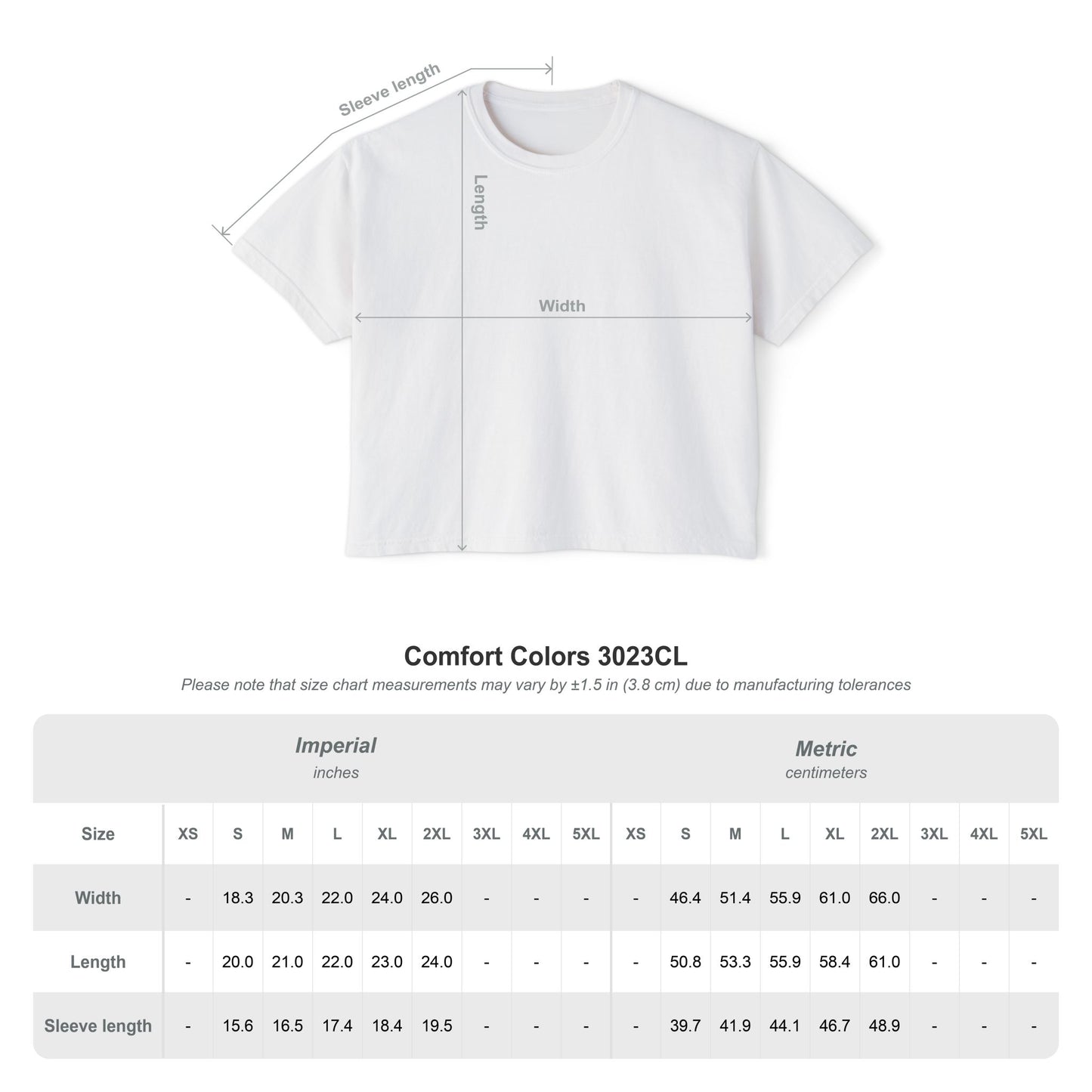 Jesus Is King Women's Boxy Tee — Revelation 19:16